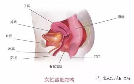 北京安琪妇产医院盆腔